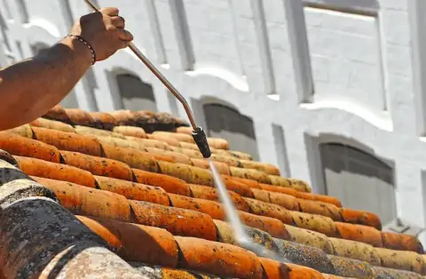 Nettoyage de toitures - Nanteau-sur-Lunain